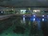 sydney_aquarium_011