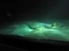 sydney_aquarium_014
