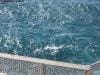 sydney_australia_015