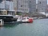 sydney_australia_042