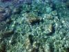tauchen_gozo_01