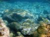 tauchen_gozo_02