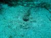 tauchen_gozo_05