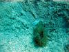 tauchen_gozo_07