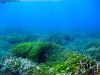 tauchen_gozo_29