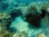 tauchen_gozo_33