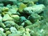 tauchen_gozo_35