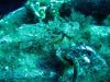 tauchen_gozo_40