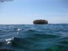 tauchen_gozo_51