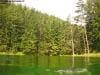 gruener-see_2010_026