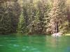 gruener-see_2010_027