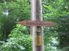tauchen_traunfall_2010_006
