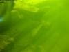 tauchen_traunfall_2010_010