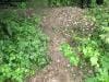 tauchen_traunfall_2010_046