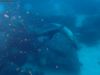 humboldt-explorer_021
