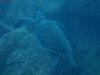 humboldt-explorer_022