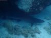 humboldt-explorer_024