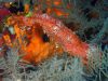 humboldt-explorer_043