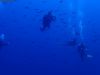 humboldt-explorer_044