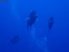 humboldt-explorer_046
