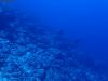 humboldt-explorer_049