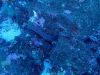 humboldt-explorer_055