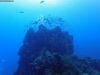 humboldt-explorer_056
