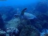 humboldt-explorer_058