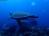 humboldt-explorer_060