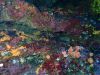 humboldt-explorer_064