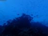 humboldt-explorer_069