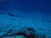 humboldt-explorer_073
