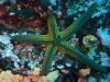 humboldt-explorer_074