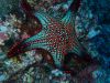 humboldt-explorer_086