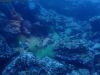 humboldt-explorer_087