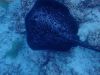 humboldt-explorer_090