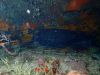 humboldt-explorer_095