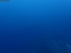 humboldt-explorer_098