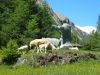 mx5_tirol-days_2k17_084