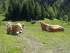 mx5_tirol-days_2k17_085